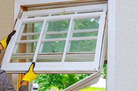 Window Replacement in Orland Park, Illinois